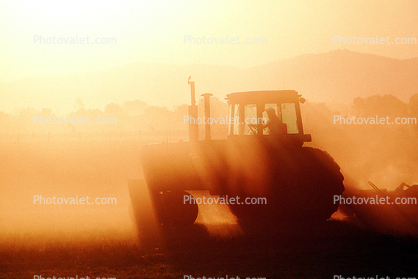Late Afternoon Farming, Farmer