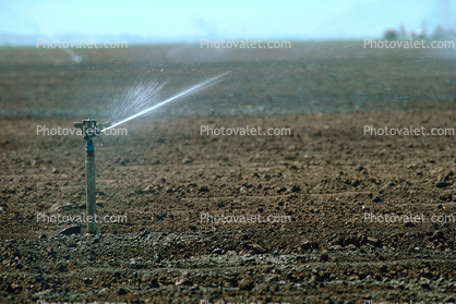 Water Sprinkler, Dirt, soil, irrigation