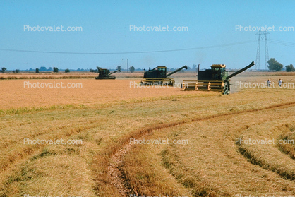 Rice, hay swather, fields, mechanization, machines, harvesting, Windrower