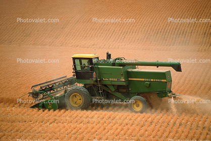 John Deere Turbo 6622 Combine, Harvesting Wheat with Mechanized Combines, farmfield, wheat field, swather, windrower