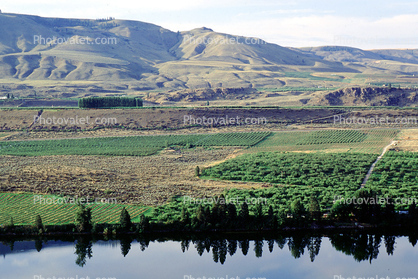 Fields, Columbia River