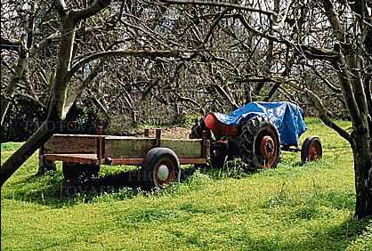trailer, tractor, Occidental, Sonoma County