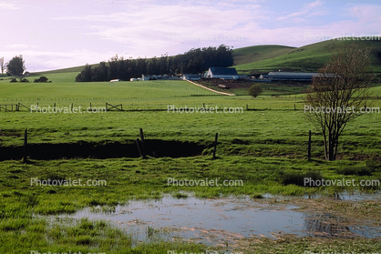 pond, water, Hills, buildings, barn, fences, Sonoma County