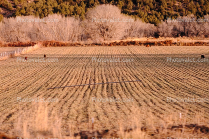 rows after harvest, Utah