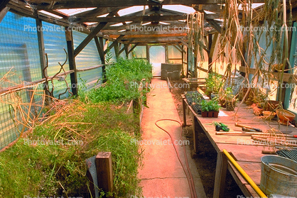 greenhouse in Occidental, California