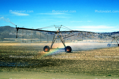 Irrigation, water, sprinkler, rainbow, near Susanville, California