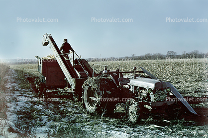 Old Tractor and Corn Harvester, Farmer, Cornfield, Corn, 1940s