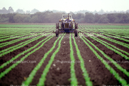 pesticide application, Dirt, soil, Herbicide, Insecticide, spraying, sprayer