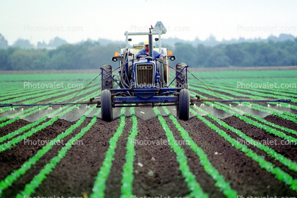 pesticide application, Dirt, soil, Herbicide, Insecticide, spraying, sprayer