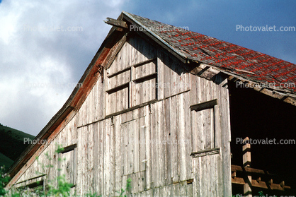 Old Wooden Barn, Mendocino County