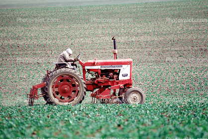 Farmer