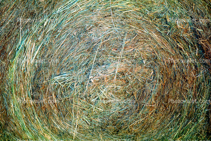 Rolled Hay Bale