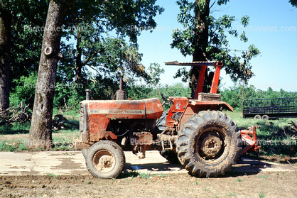 Massey Ferguson Tractor, Machine, Mechanized, Mechanization, 1950s