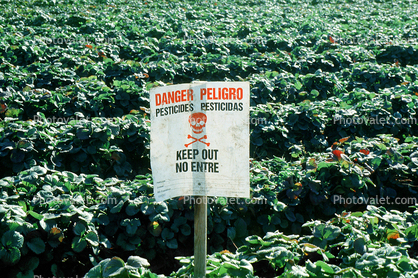 pesticides, near Castroville, Central California Coast, Herbicide, Insecticide