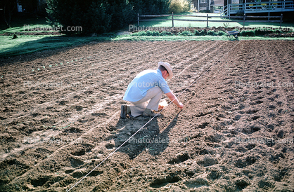 Sowing Seeds, Dirt, soil