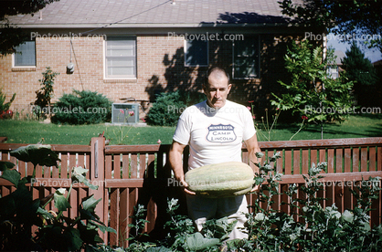 Man and his Squash Harvest, garden, fence, suburbia, house, home, building, lawn