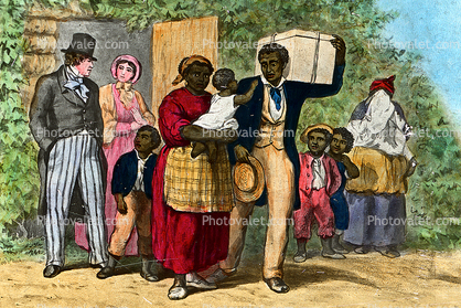 White Racist, Cotton, the deep south immorality, Slave Trade, Slave owner
