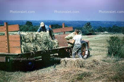 loading bales of hay, stack, trailer, tractor
