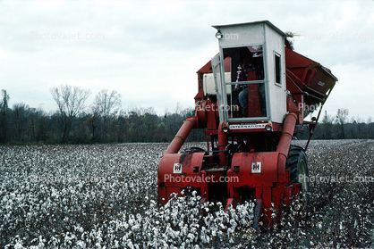 McCormick International Harvester, Cotton Harvesting, 1950s