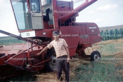 McCormick International Harvester 303, hay swather, Windrower, 1950s