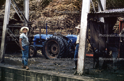 Tractor, Sugar Cane