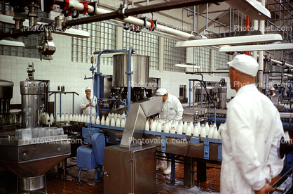 Milk Bottling Plant, Bottles, Men, workers, uniform, job, avocation