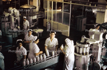 Bottling Plant, Dairy, women, workers, uniforms