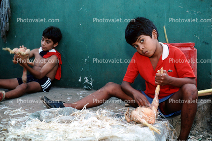 Boys Plucking a Chicken, Chicken Slaughterhouse, San Salvador, El Salvador