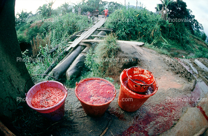 Buckets of Blood, Andapa, Madagascar
