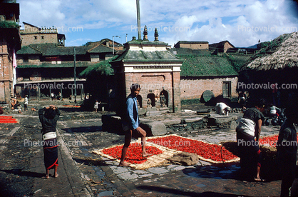 buildings, Drying Chili Peppers, shrine, Kathmandu, Nepal