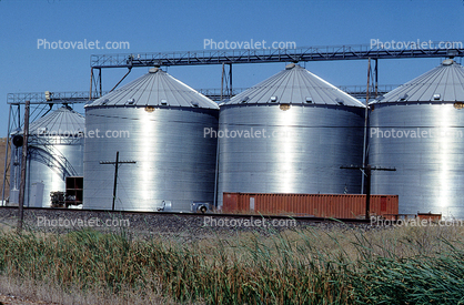 Grain Silos, Williams, California