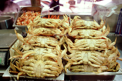Cooked Dungeness Crabs, steamed, seafood, shellfish, Fishermans Wharf