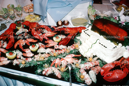 Lobster, Shrimp, Buffet, Cabo San Lucas