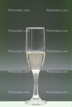sparkling wine, Champagne, bubbles, glass