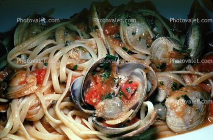 Vongole Pasta, clams, shellfish, seafood, Clams, Bivalve