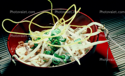 Bean Sprouts, Onions