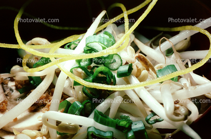 Bean Sprouts, Onions