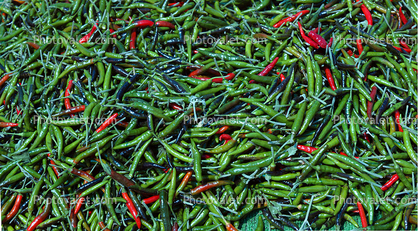 Hot Chili Peppers, texture, background