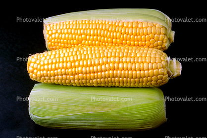 Corn-on-the-cob