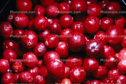 Cranberrie, texture, background