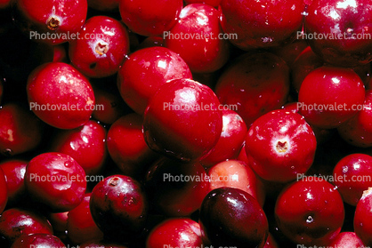 Cranberrie, texture, background