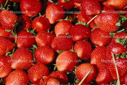 Strawberries, texture, background