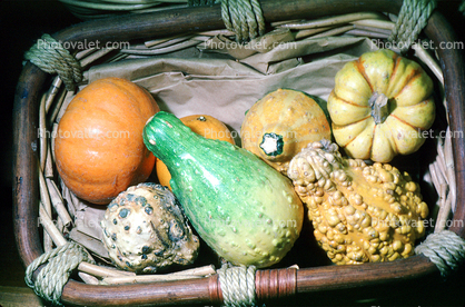 gourds, squash, texture, background
