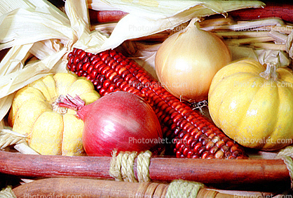 onion, Corn, texture, background