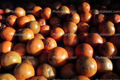 Oranges, texture, background