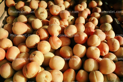 Apricot, texture, background