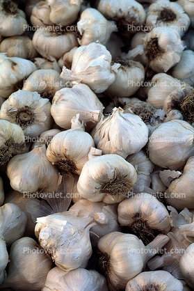 garlic, texture, background