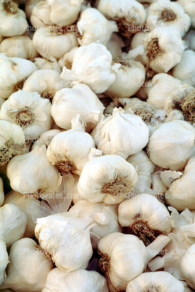 garlic texture, texture, background