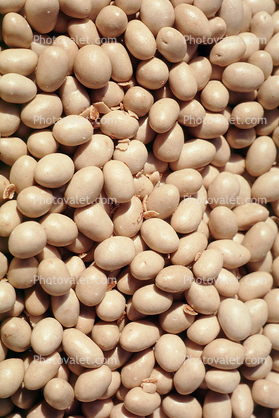 beans, texture, background