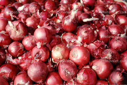 onion, texture, background